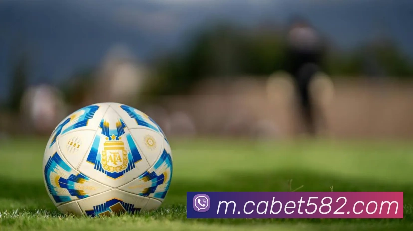 登录器